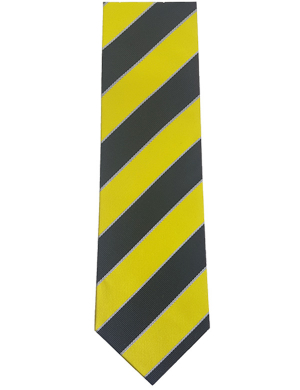 Ernest Bevin College Tie  - Yellow